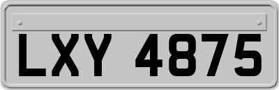 LXY4875