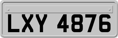 LXY4876