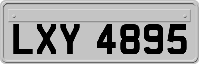LXY4895