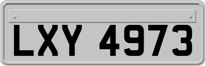 LXY4973