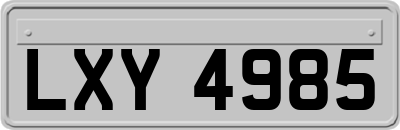 LXY4985