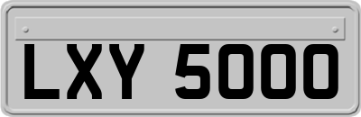 LXY5000