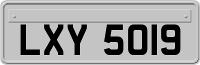 LXY5019