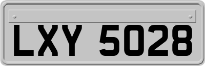 LXY5028