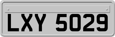 LXY5029