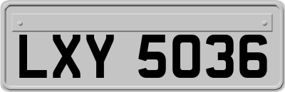 LXY5036