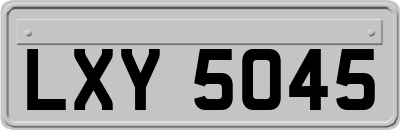 LXY5045
