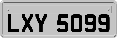 LXY5099