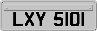 LXY5101
