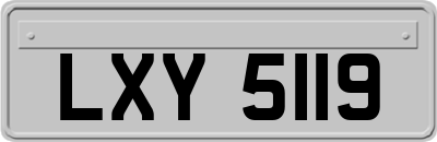 LXY5119