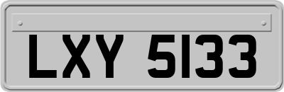 LXY5133