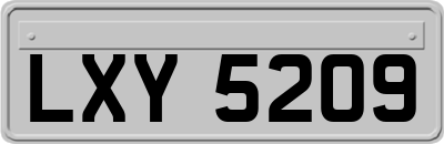 LXY5209
