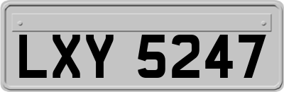 LXY5247