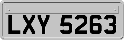 LXY5263