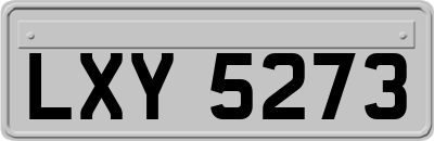 LXY5273