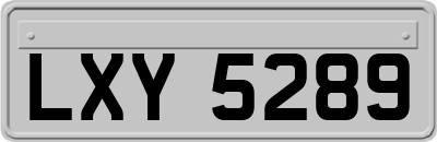 LXY5289