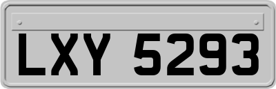 LXY5293