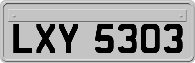 LXY5303