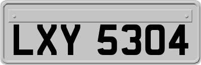 LXY5304