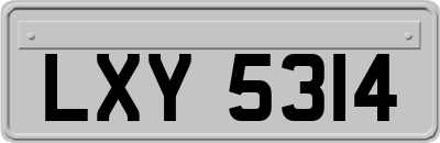 LXY5314