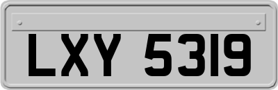 LXY5319