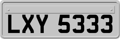 LXY5333
