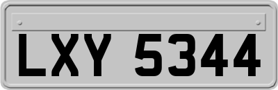 LXY5344