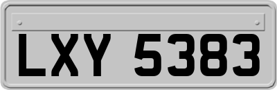 LXY5383
