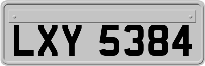 LXY5384