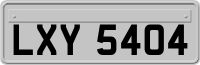 LXY5404