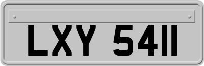 LXY5411