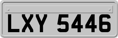 LXY5446
