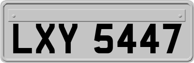 LXY5447