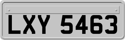 LXY5463