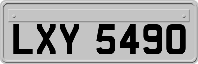 LXY5490