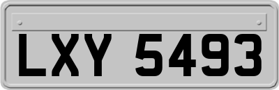 LXY5493