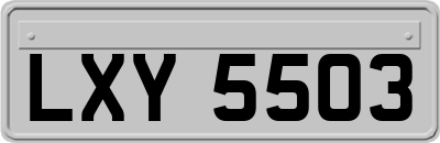 LXY5503