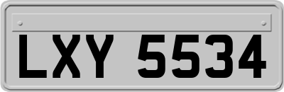 LXY5534