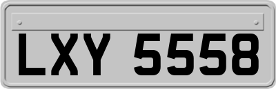 LXY5558