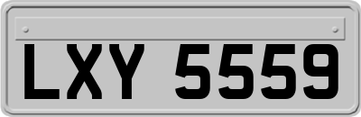LXY5559