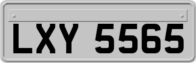 LXY5565