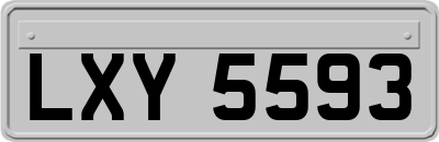 LXY5593