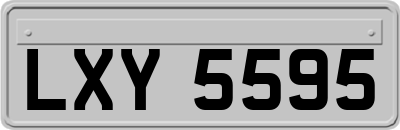 LXY5595