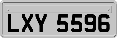 LXY5596