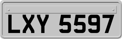 LXY5597