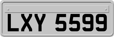 LXY5599