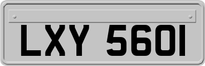 LXY5601