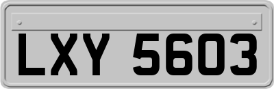 LXY5603