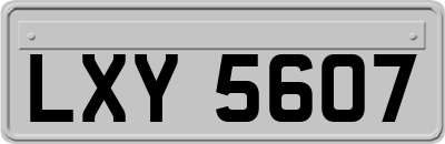 LXY5607