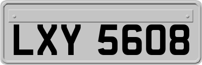 LXY5608